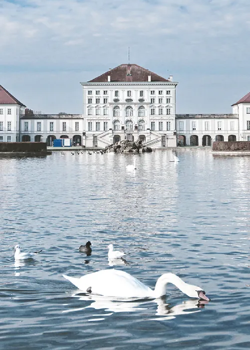 Fett-weg-Spritze in München Website Banner Mobile